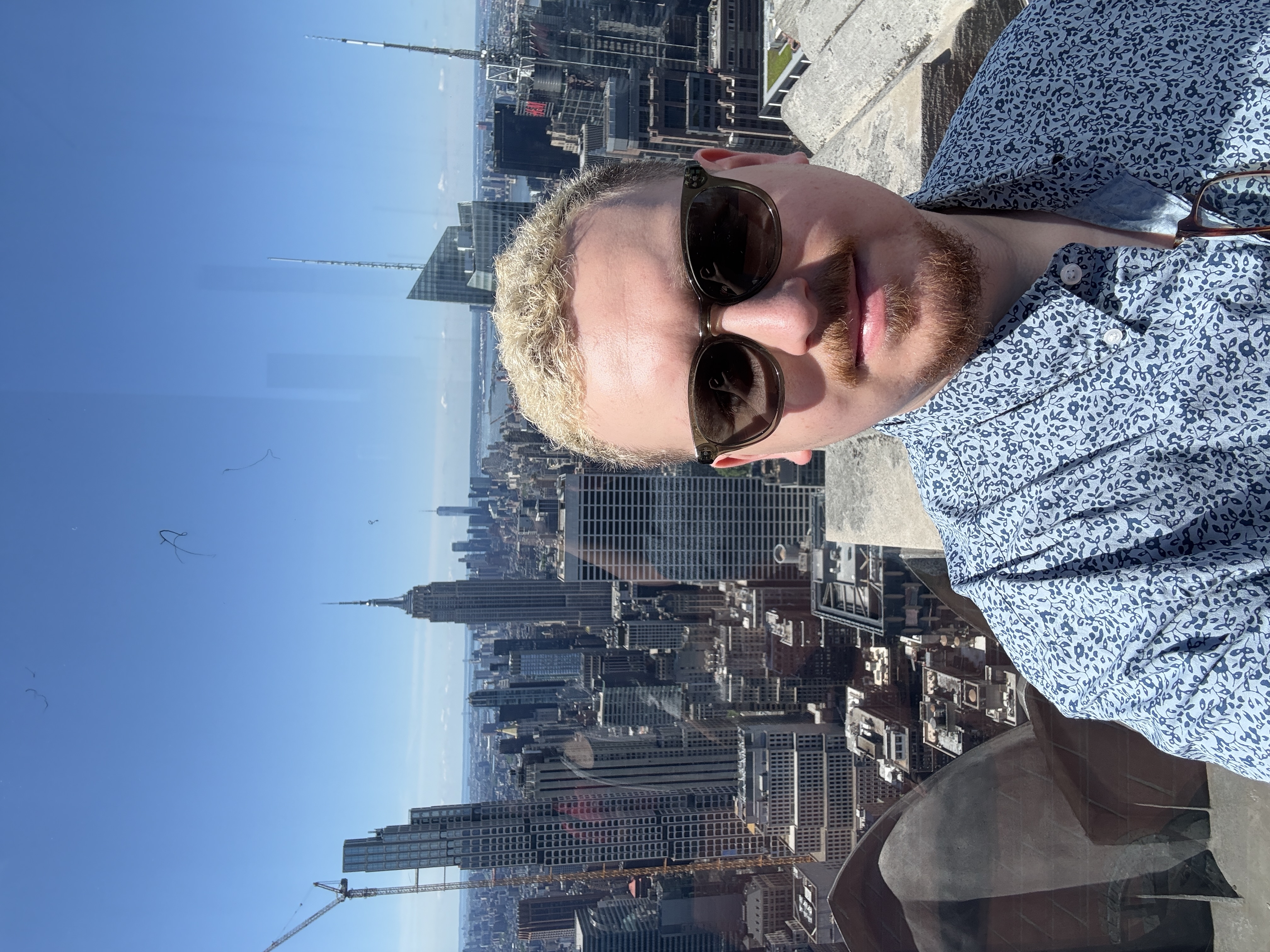 David in New York City